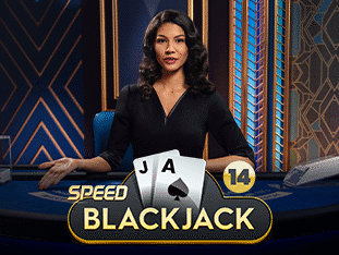 Speed Blackjack 14 screenshot